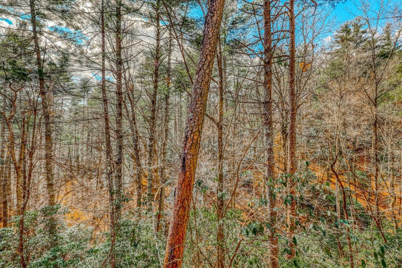 Villa Etowah Blue Ridge Exterior foto